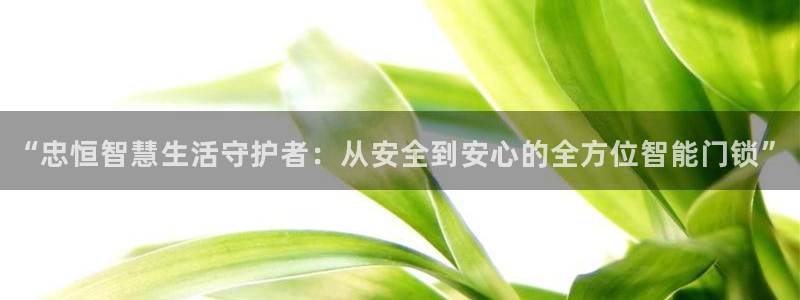jdb电子变脸2出十个是多少倍：“忠恒智慧生活守护者：从安全