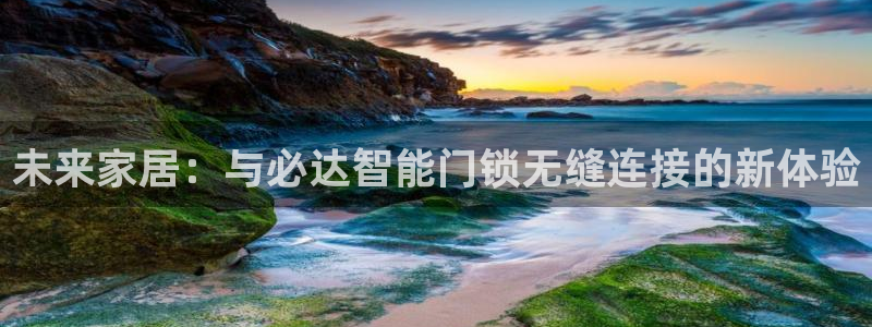 jdbc注册与登录：未来家居：与必达智能门锁无缝连接的新体验
