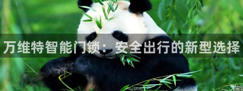jdb试玩网页版：万维特智能门锁：安全出行的新型选择