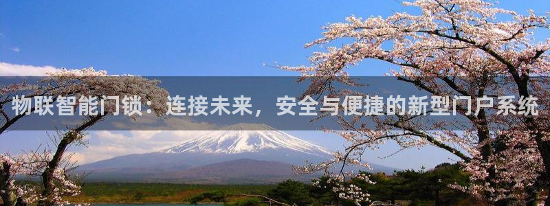 jdb电子变脸：物联智能门锁：连接未来，安全与便捷的新型门户