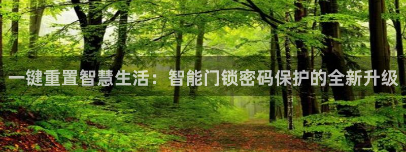 jdb游戏爆分：一键重置智慧生活：智能门锁密码保护的全新升级