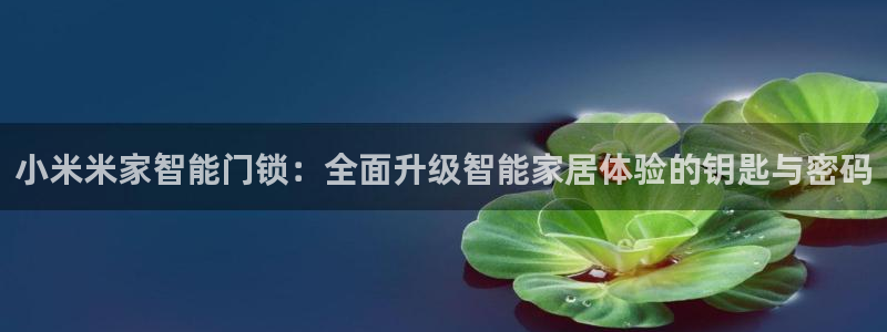 jdb电子夺宝官网：小米米家智能门锁：全面升级智能家居体验的