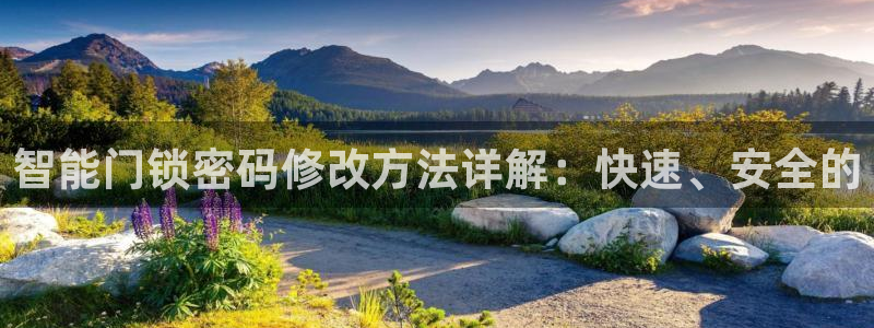 jdb电子官网3.8.2.2.2.3主管还：智能门锁密码修改