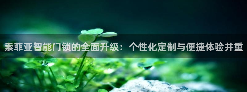 jdbc用户注册：索菲亚智能门锁的全面升级：个性化定制与便捷
