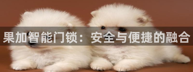 jdb游戏经验：果加智能门锁：安全与便捷的融合