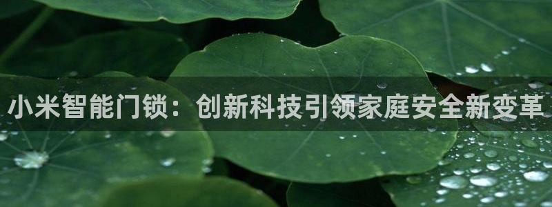 jdb电子游戏采矿宝贝：小米智能门锁：创新科技引领家庭安全新