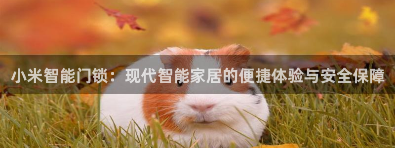 jdb电子游戏可以玩吗：小米智能门锁：现代智能家居的便捷体验