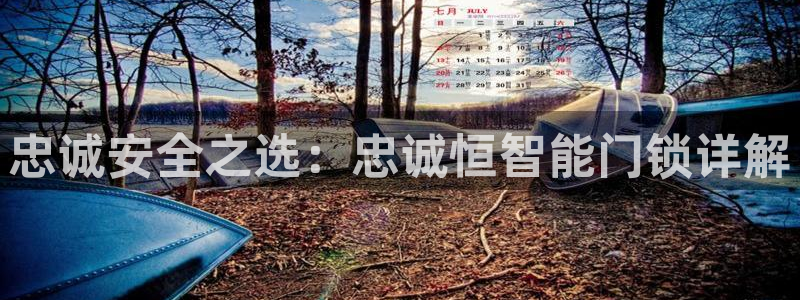 夺宝jdb电子变脸：忠诚安全之选：忠诚恒智能门锁详解