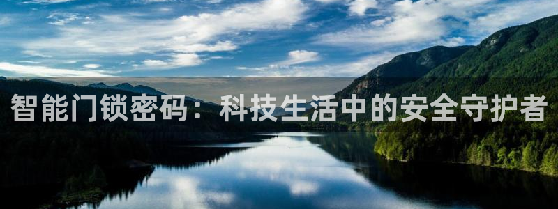 jdb_official_v1.9.2：智能门锁密码：科技生