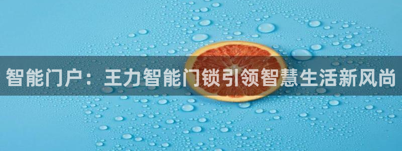 jdb电子模拟器：智能门户：王力智能门锁引领智慧生活新风尚