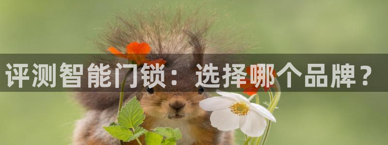 jdb电子哪个游戏好