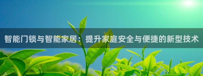 JDB电子联系方式：智能门锁与智能家居：提升家庭安全与便捷的
