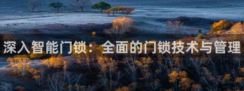 jdb电子游戏app：深入智能门锁：全面的门锁技术与管理