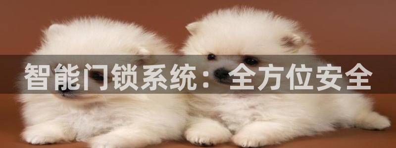 JDB电子猎龙高手官方网站官方网站是多少