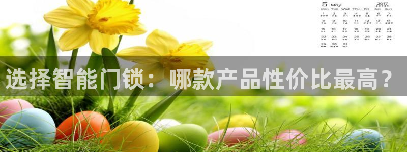 jDB电子下载：选择智能门锁：哪款产品性价比最高？