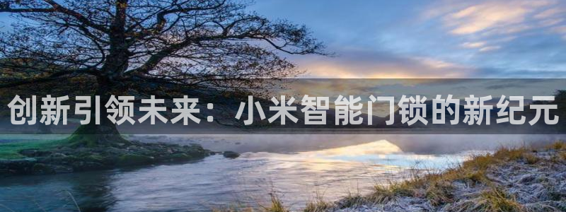 jdb电子游戏技巧：创新引领未来：小米智能门锁的新纪元