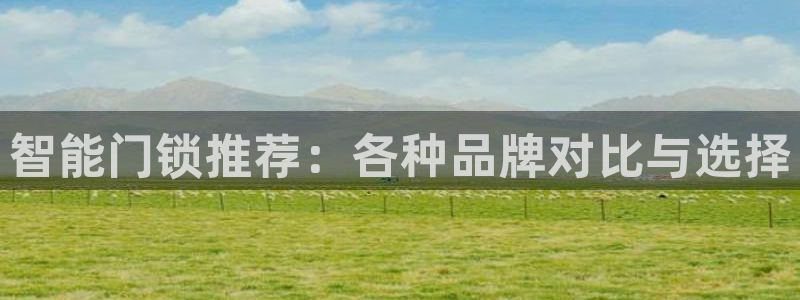 jdb电子变脸攻略：智能门锁推荐：各种品牌对比与选择