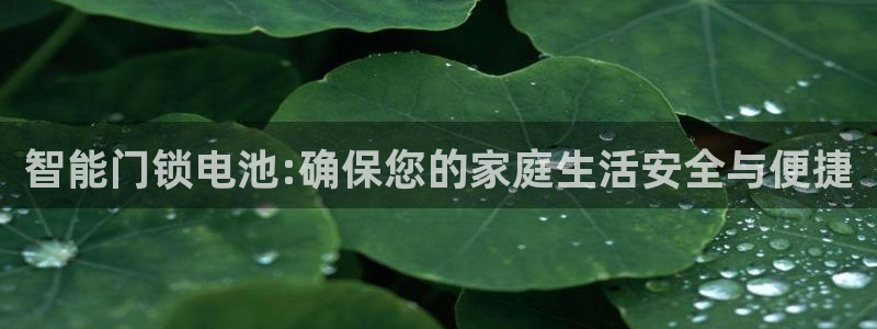 jdb游戏官网：智能门锁电池:确保您的家庭生活安全与便捷