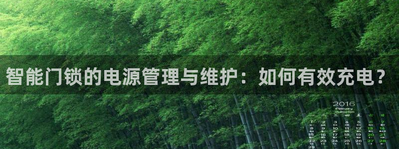 jdb夺宝游戏试玩：智能门锁的电源管理与维护：如何有效充电？