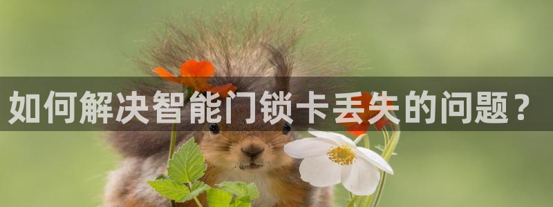 JDB电子游戏试玩：如何解决智能门锁卡丢失的问题？
