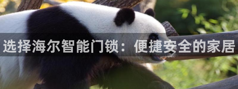 JDB平台下载：选择海尔智能门锁：便捷安全的家居